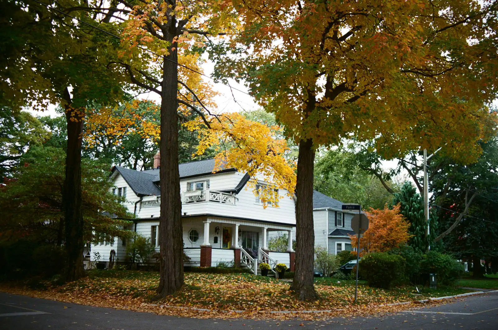 A white house with a front porch under golden fall trees on a quiet residential street